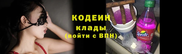 шишки Абаза