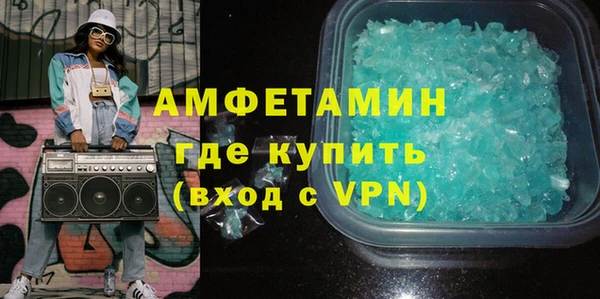 шишки Абаза