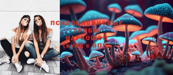 твердый Абинск