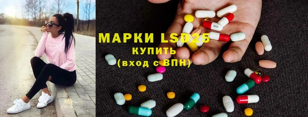шишки Абаза