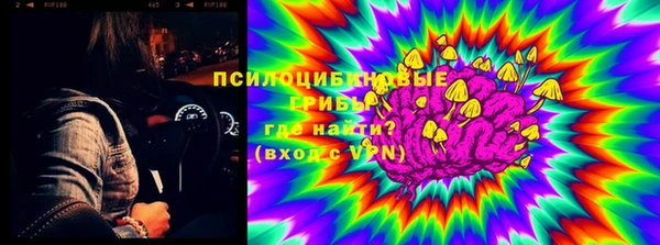 шишки Абаза