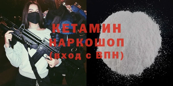 шишки Абаза