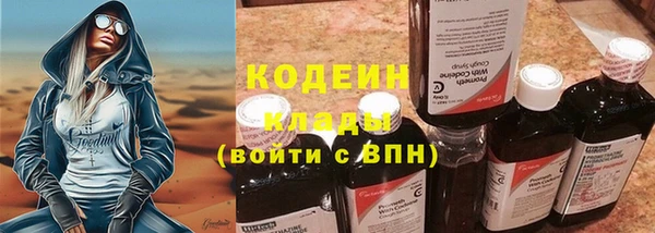 шишки Абаза