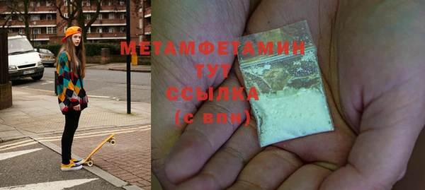 шишки Абаза