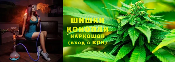 шишки Алексин