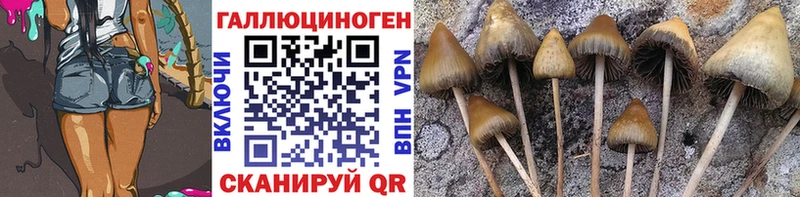 где найти наркотики  Карпинск  Галлюциногенные грибы мухоморы 